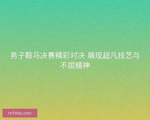 男子鞍马决赛精彩对决 展现超凡技艺与不屈精神