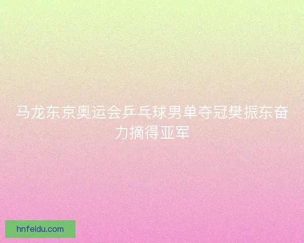 马龙东京奥运会乒乓球男单夺冠樊振东奋力摘得亚军