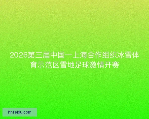 2026第三届中国—上海合作组织冰雪体育示范区雪地足球激情开赛