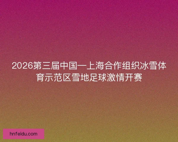2026第三届中国—上海合作组织冰雪体育示范区雪地足球激情开赛